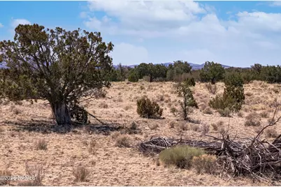 000 W Calle Adan, Seligman, AZ 86337 - Photo 1