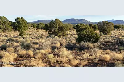 000 W Calle Adan, Seligman, AZ 86337 - Photo 4