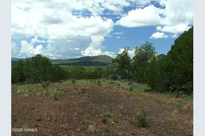 000 W Calle Adan, Seligman, AZ 86337 - Photo 14