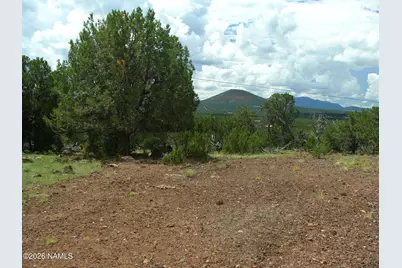 000 W Calle Adan, Seligman, AZ 86337 - Photo 12