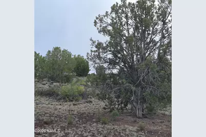 4180 N Muriel Drive, Williams, AZ 86046 - Photo 10