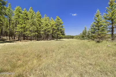 9 E Foxboro Road #14, Munds Park, AZ 86017 - Photo 14
