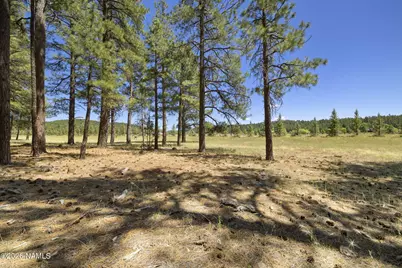 9 E Foxboro Road #14, Munds Park, AZ 86017 - Photo 16