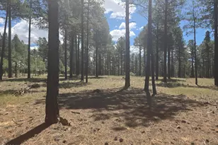2335 S Ash Ln, Flagstaff, AZ 86004 - Photo 1