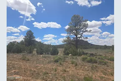 7434 N Elk Run Trail, Williams, AZ 86046 - Photo 1
