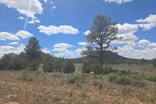 7434 N Elk Run Trail, Williams, AZ 86046 - Photo 1