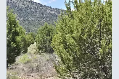7434 N Elk Run Trail, Williams, AZ 86046 - Photo 2