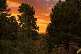 2667 E Matterhorn Dr, Flagstaff, AZ 86004 - Photo 46