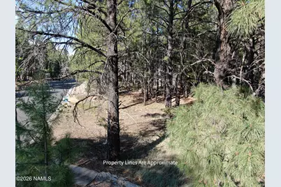 4405 E Dreamy Lane, Flagstaff, AZ 86004 - Photo 4