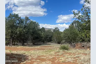 7432 Daisy Drive, Williams, AZ 86046 - Photo 10