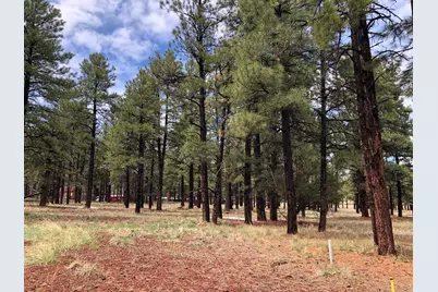 3222 W Grey Hawk #257, Williams, AZ 86046 - Photo 6
