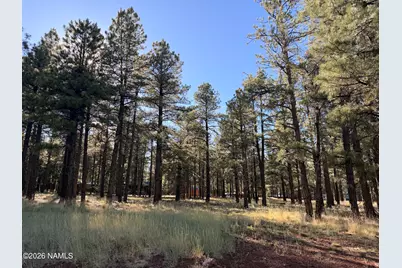 3222 W Grey Hawk #257, Williams, AZ 86046 - Photo 16