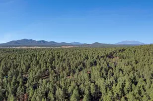 7340 E Long Bow Dr, Williams, AZ 86046 - Photo 44