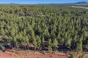 7340 E Long Bow Dr, Williams, AZ 86046 - Photo 42
