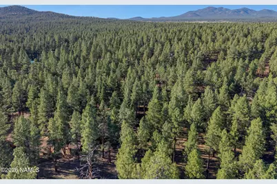 7340 E Long Bow Drive, Williams, AZ 86046 - Photo 40