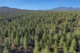 7340 E Long Bow Dr, Williams, AZ 86046 - Photo 40