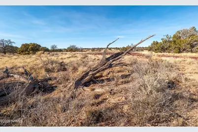 5614 N Alta Villa Road, Williams, AZ 86046 - Photo 22