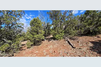1262 Painted Pony Lane, Williams, AZ 86046 - Photo 18