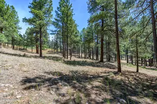 5280 E Idlewood Ln, Flagstaff, AZ 86004 - Photo 8