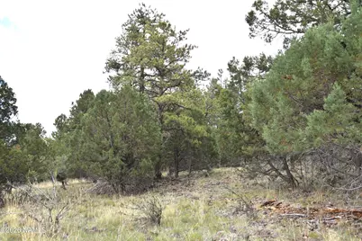221 E Hancock Avenue, Williams, AZ 86046 - Photo 8