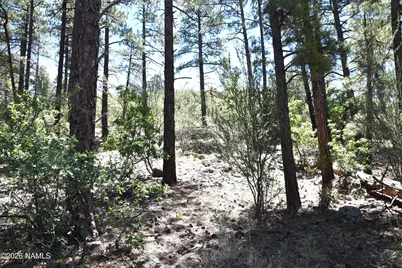 221 E Hancock Avenue, Williams, AZ 86046 - Photo 20