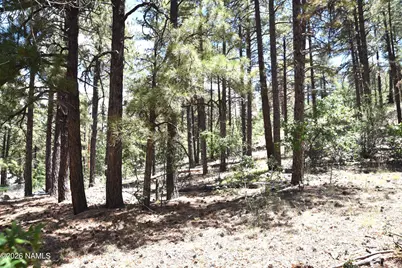 221 E Hancock Avenue, Williams, AZ 86046 - Photo 16