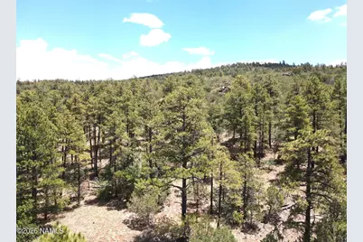 221 E Hancock Avenue, Williams, AZ 86046 - Photo 6