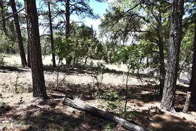 221 E Hancock Avenue, Williams, AZ 86046 - Photo 18