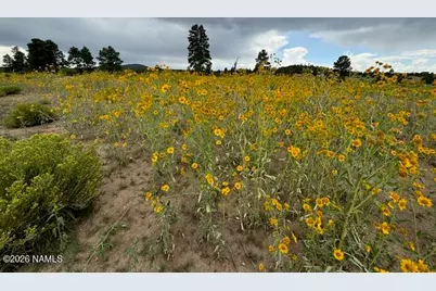 5303 N Red Mountain Road, Williams, AZ 86046 - Photo 12