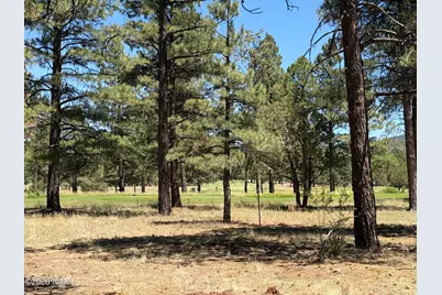 467 S Highland Meadows Drive, Williams, AZ 86046 - Photo 8