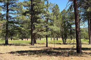467 S Highland Mdws Dr, Williams, AZ 86046 - Photo 8