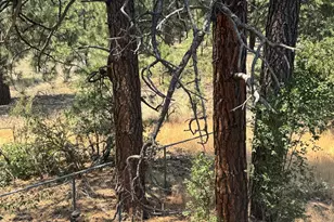 1745 E Linda Vista Dr, Flagstaff, AZ 86004 - Photo 12