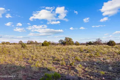 4436 Indian Meadows Road, Williams, AZ 86046 - Photo 22