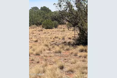 4209 E Parkway Drive, Williams, AZ 86046 - Photo 6