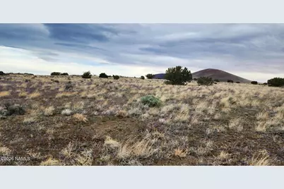 30347019 Alpine Ranches, Flagstaff, AZ 86004 - Photo 8