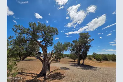 780 W Grand Boulevard, Williams, AZ 86046 - Photo 30