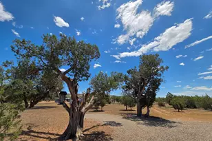 780 W Grand Blvd, Williams, AZ 86046 - Photo 30