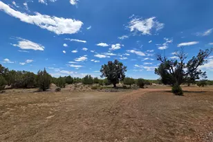 780 W Grand Blvd, Williams, AZ 86046 - Photo 32
