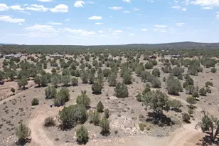 780 W Grand Blvd, Williams, AZ 86046 - Photo 54