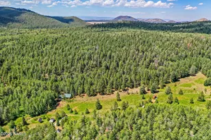 17787 N Forest Service 9004T Rd, Flagstaff, AZ 86001 - Photo 44