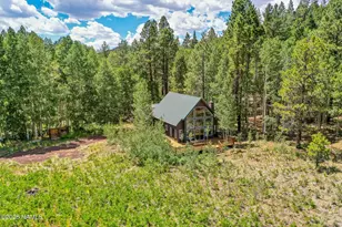 17787 N Forest Service 9004T Rd, Flagstaff, AZ 86001 - Photo 6