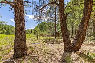17787 N Forest Service 9004T Rd, Flagstaff, AZ 86001 - Photo 32