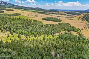 17787 N Forest Service 9004T Rd, Flagstaff, AZ 86001 - Photo 40