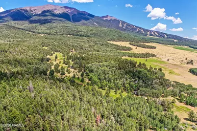 17787 N Forest Service 9004T Road, Flagstaff, AZ 86001 - Photo 38