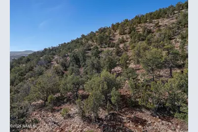 630 W Eagle Nest Road, Williams, AZ 86046 - Photo 10