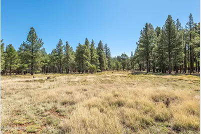 295 E Foxboro Road, Munds Park, AZ 86017 - Photo 28