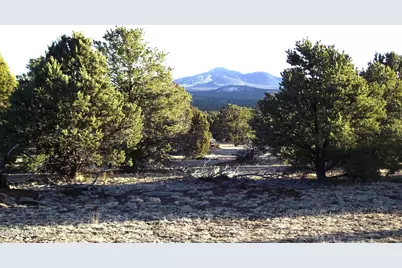 20202107C Honeysuckle Road, Williams, AZ 86046 - Photo 2