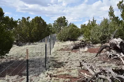 20202107C Honeysuckle Road, Williams, AZ 86046 - Photo 10