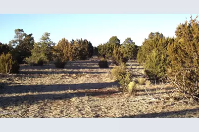 20202107C Honeysuckle Road, Williams, AZ 86046 - Photo 14