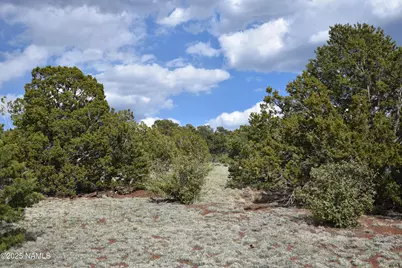 20202107C Honeysuckle Road, Williams, AZ 86046 - Photo 8